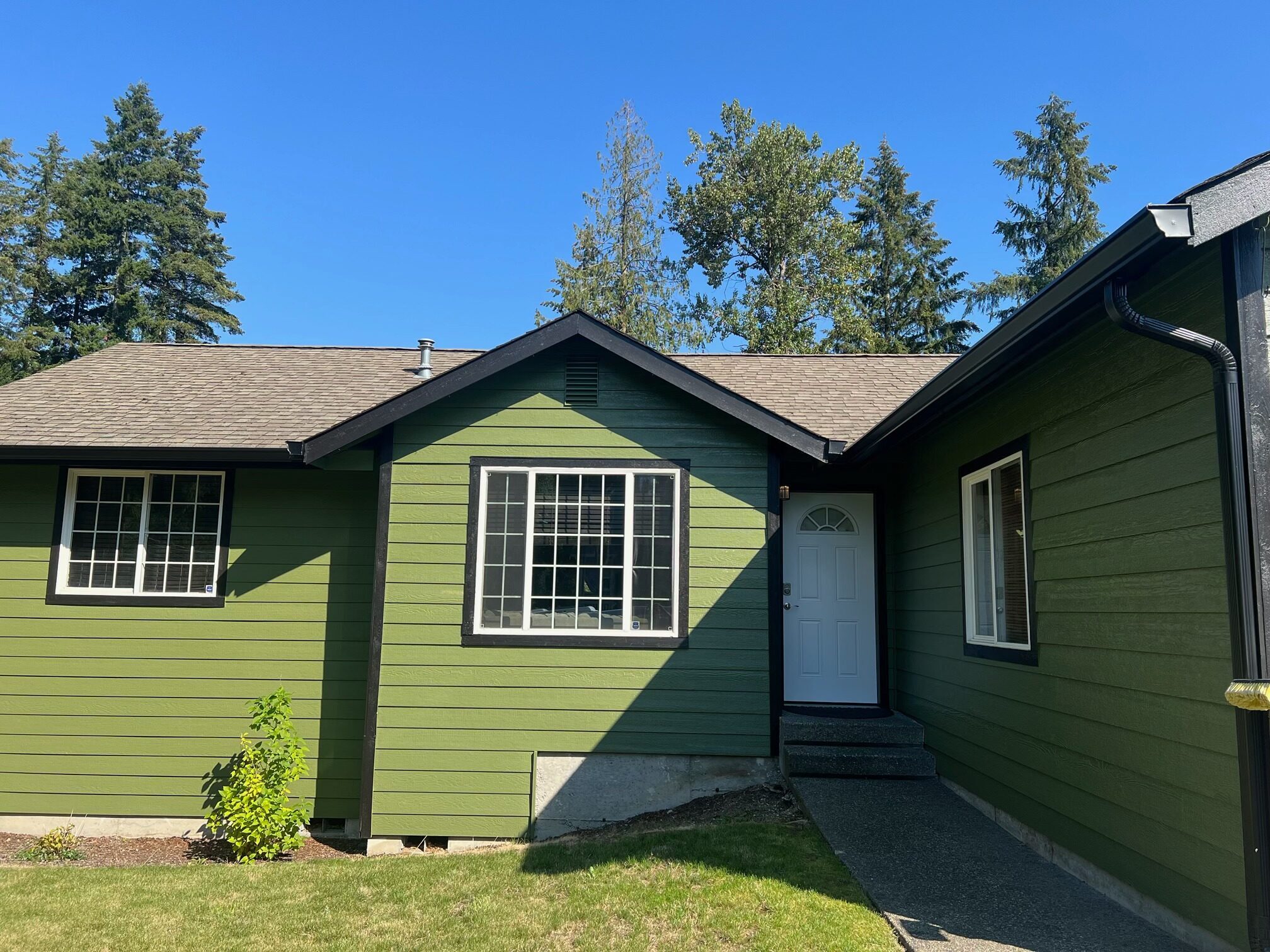 Green residential home with new dark seamless gutter installation and PNW fir trees