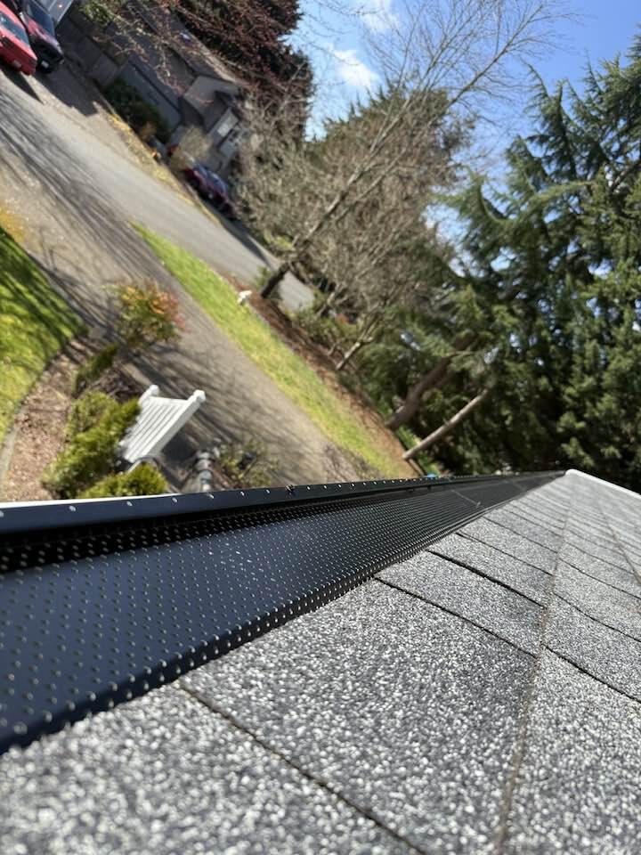 Micro-mesh gutter guard installed along a residential roofline in the Pacific Northwest